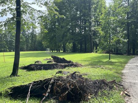 Slovenska vojska pomaga pri čiščenju Grajskega parka 2507 (10)